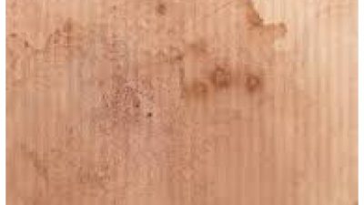 Teksol; Tekstil Leke Çıkartıcı